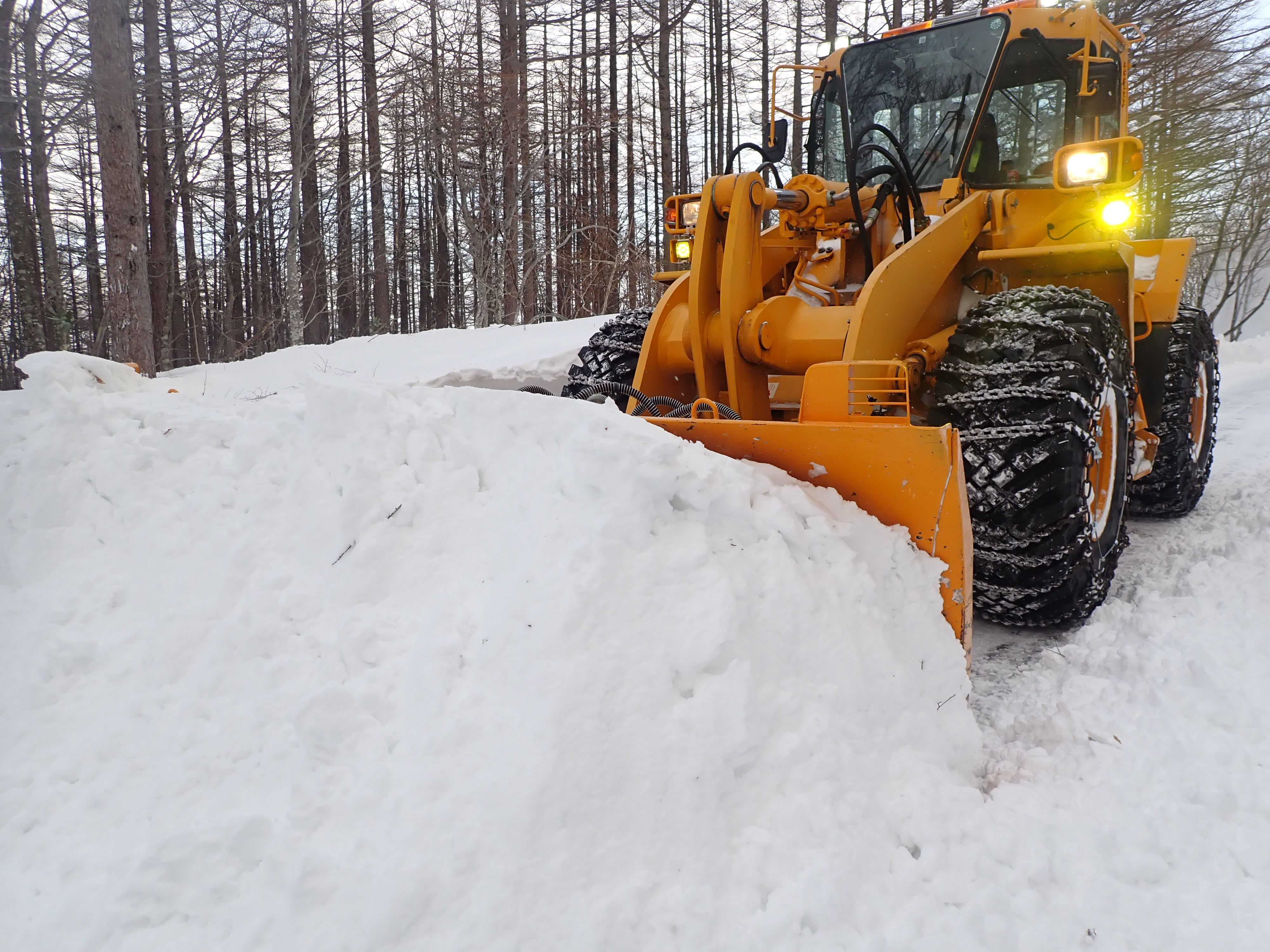 除雪